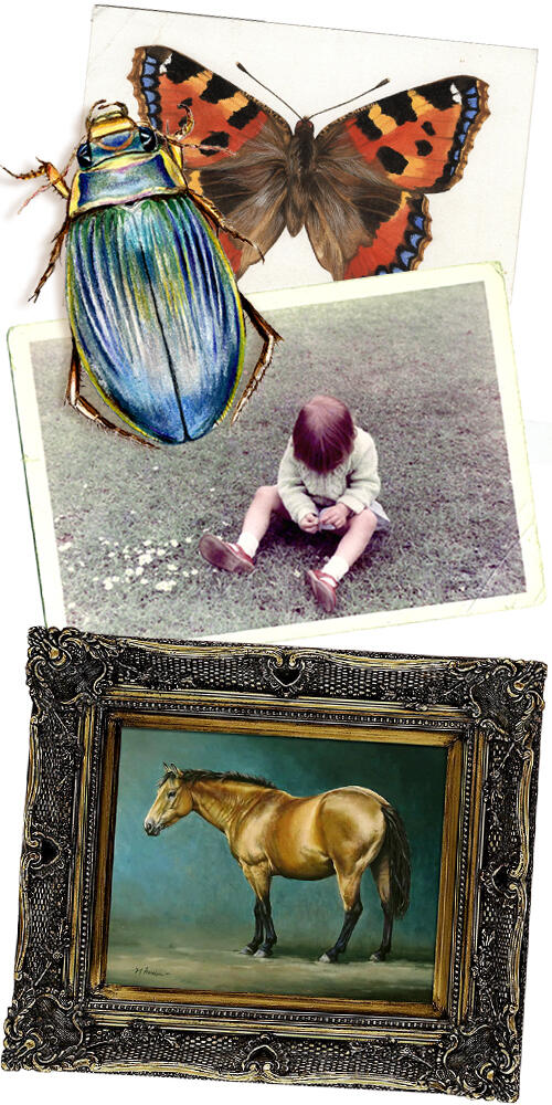 Selfie Mandy Millie Flockton collage, childhood, natural history illustration, equestrian art